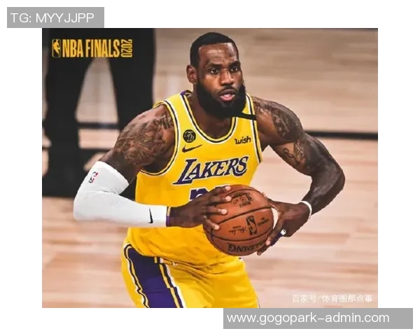 湖人对热火NBA总决赛球员数据分析与表现对比
