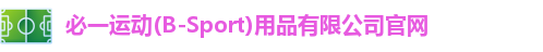 BSport必一